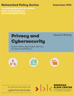 Privacy and Cybersecurity Research Briefing