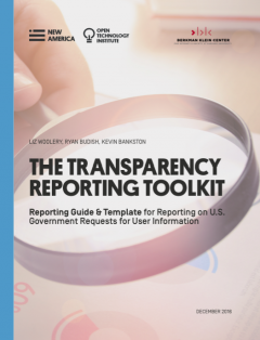 The Transparency Reporting Toolkit: Guide & Template