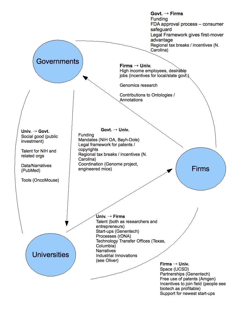 Uni Govt Firm flow chart.jpg