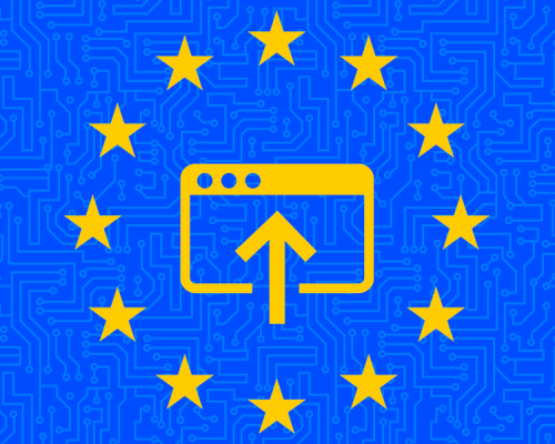Advancing Platform Research through the EU Digital Services Act