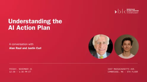 Understanding the AI Action Plan