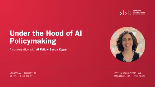 Under the Hood of AI Policymaking