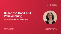 AT CAPACITY: Under the Hood of AI Policymaking