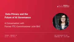 Data Privacy and the Future of AI Governance