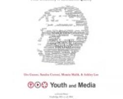 Youth and Digital Media: From Credibility to Information Quality 