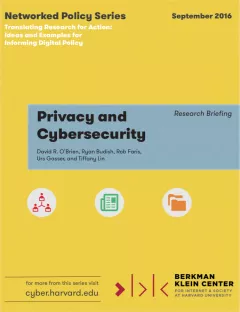 Privacy and Cybersecurity Research Briefing