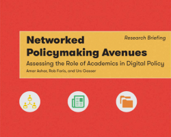 Networked Policy Making Avenues: Assessing the Role of Academics in Digital Policy