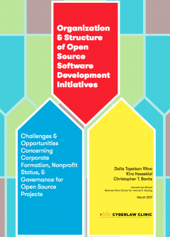 Organization & Structure of Open Source Software Development Initiatives