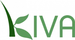 Group Solidarity & Peer-to-Peer Microfinance on Kiva.org, via Scott Hartley